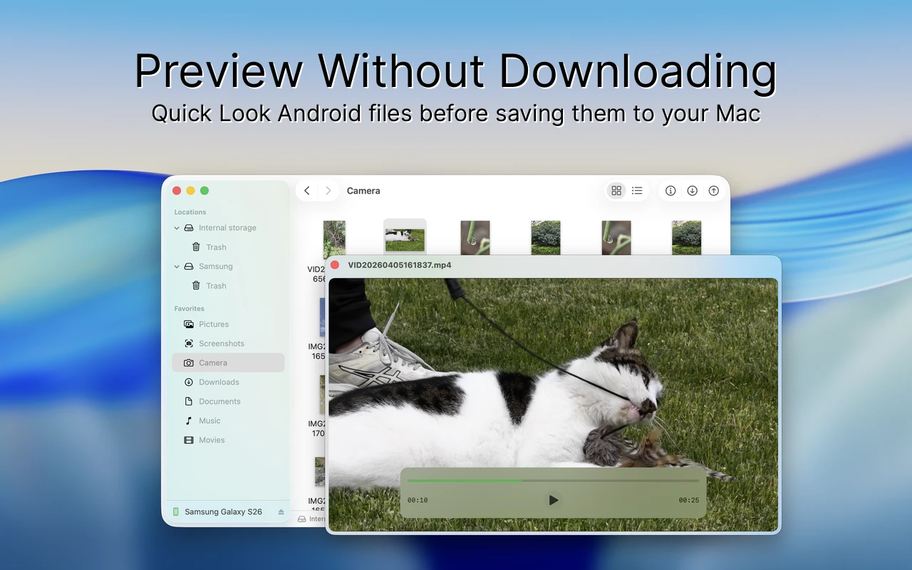 Findroid Interface - Quick Look
