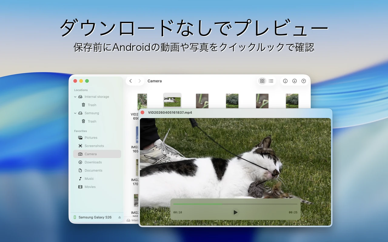 Findroid インターフェース - クイックルック