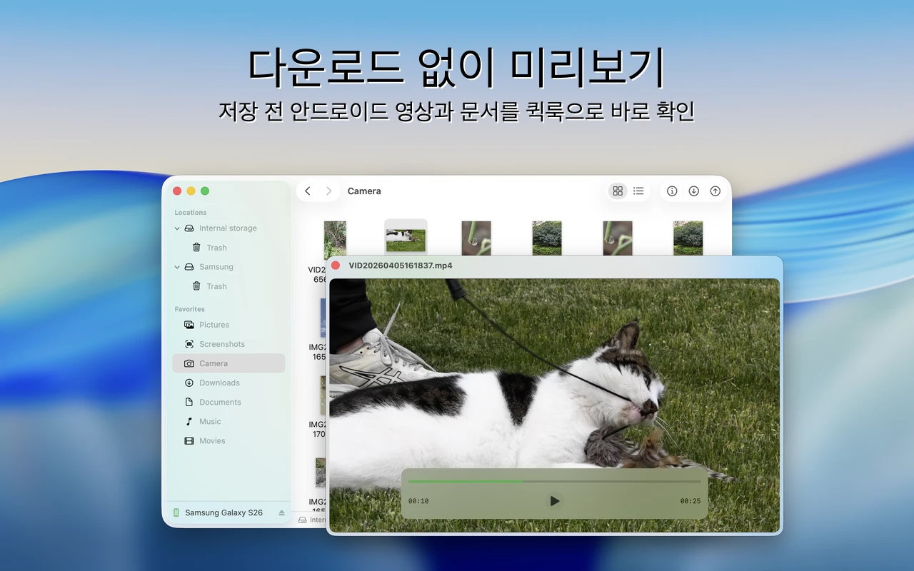 Findroid 인터페이스 - 퀵 룩